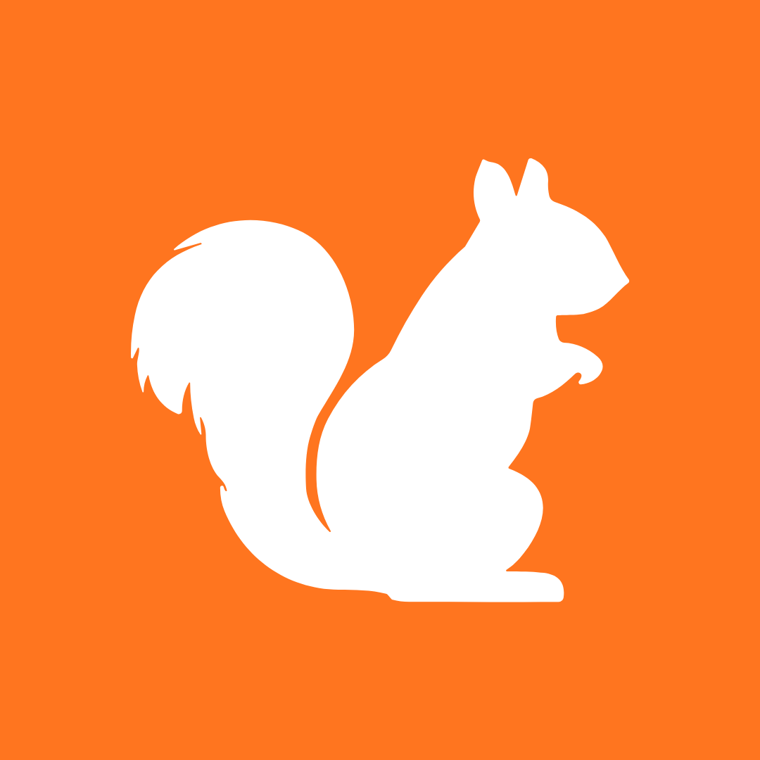 Squirrel Go Icon